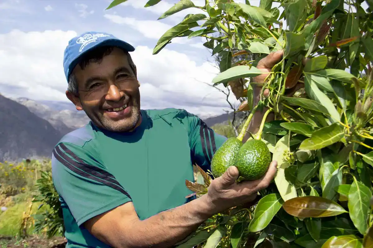 Negocios de Agricultura Negocios Rentables en Perú | Negocios Rentables
