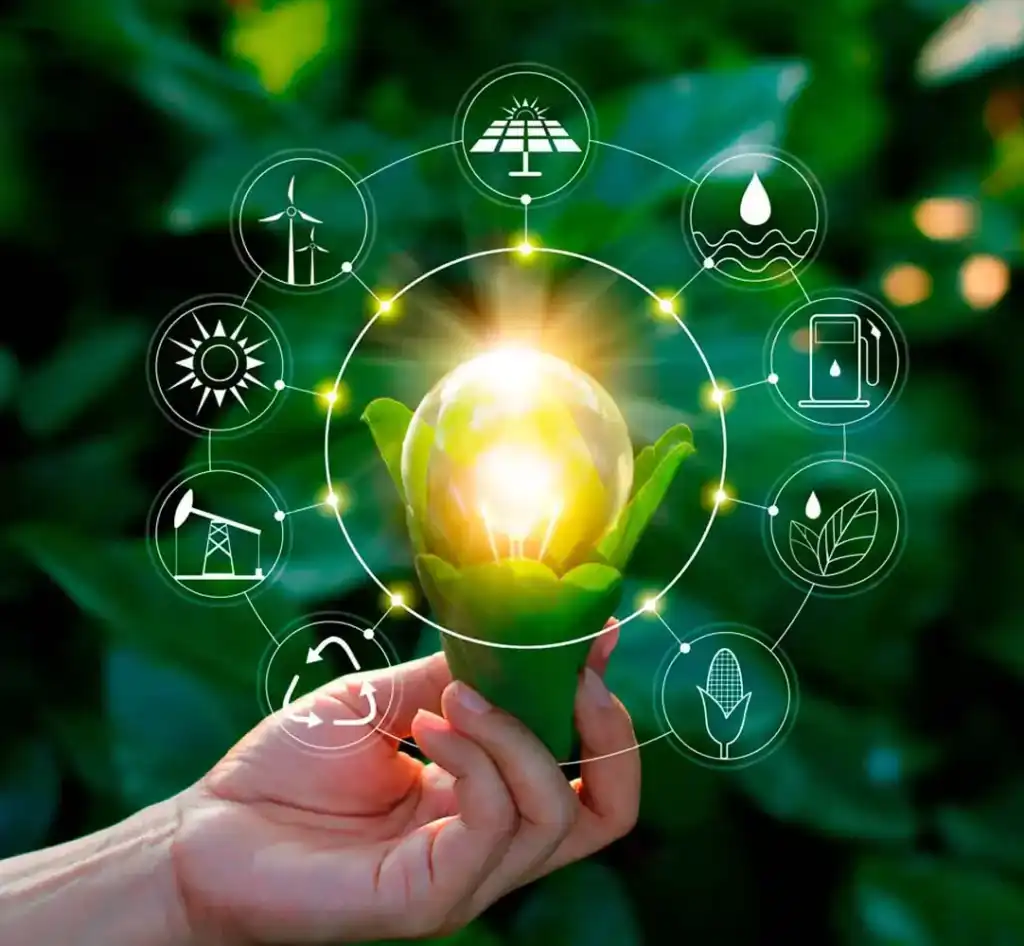 Negocios sostenibles responsables y conscientes 1 negocios sostenibles