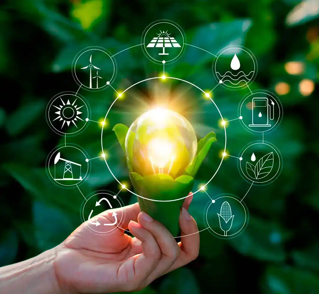 negocios sostenibles negocios sostenibles